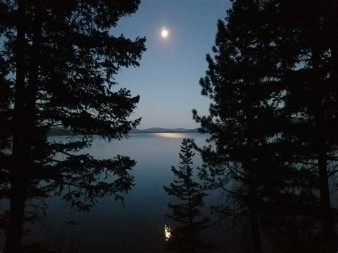 bitterroot lake campground marion mt.